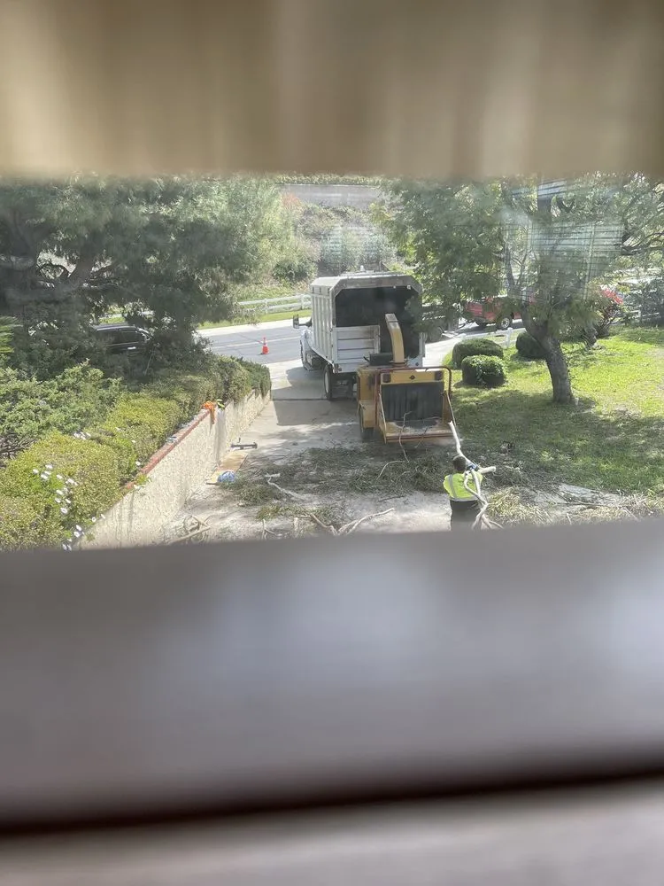 Trusted landscape installation experts serving Placentia, CA - A's Tree Service