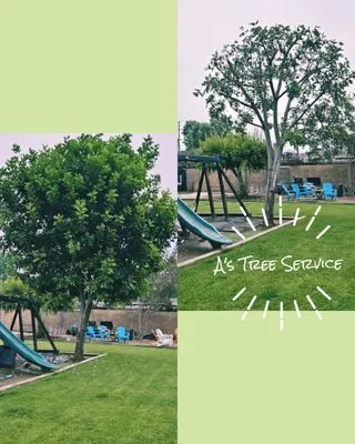 A's Tree Service
