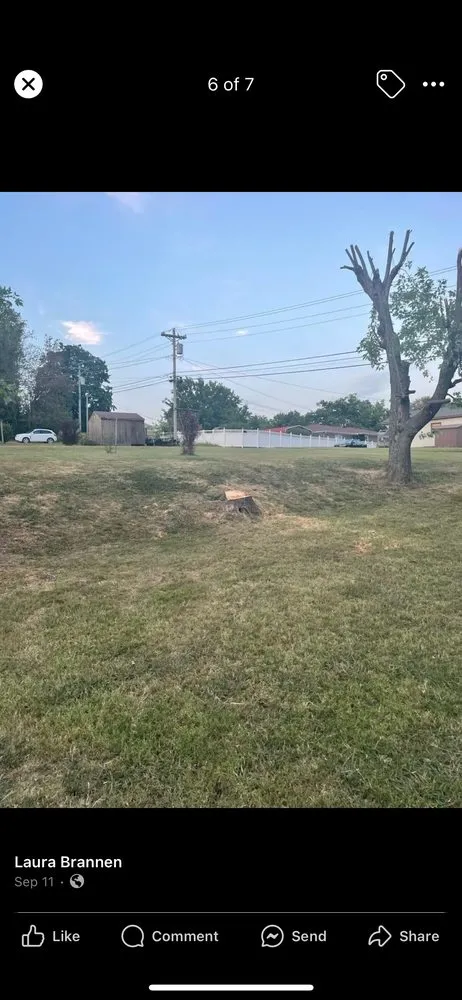 Expert yard cleanup service for homes in Smiths Grove, KY by A&S Tree Service