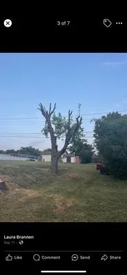 A&S Tree Service
