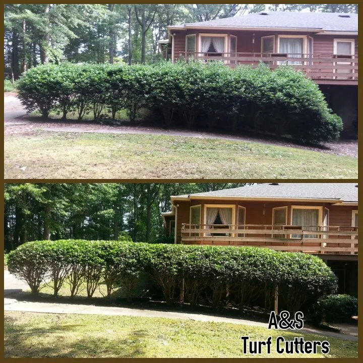 Reliable yard cleanup service experts serving Jonsboro, GA - A&S Turf Cutters