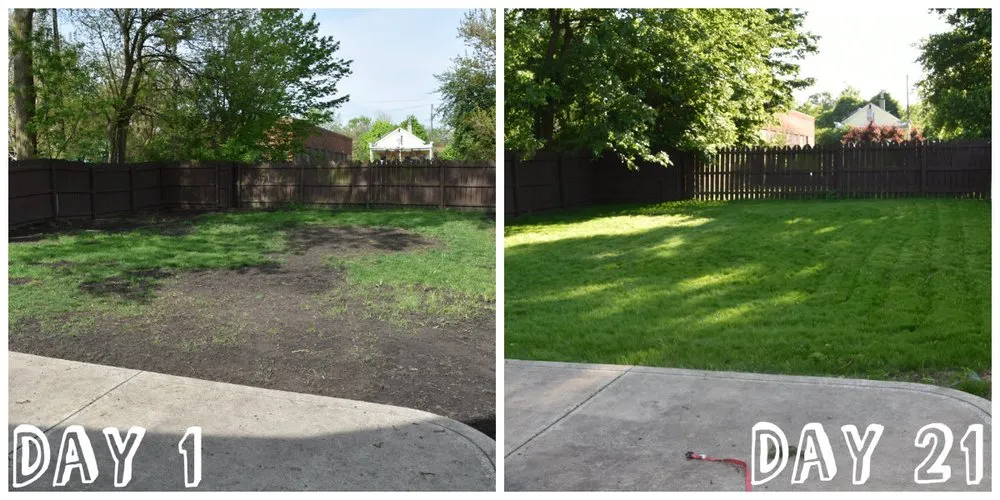 Local landscape design experts serving Port Washington, WI - Asap Earth Landscaping & Lawn