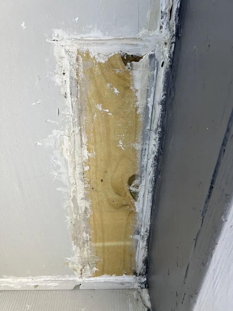 Custom yard maintenance in Cairo, GA - Asap Handy Services