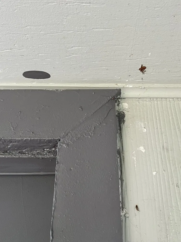 Professional landscaping services for year-round maintenance across Cairo, GA - Asap Handy Services