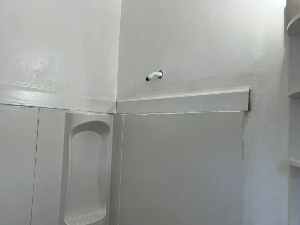 Affordable landscaping services in Cairo, GA - Asap Handy Services