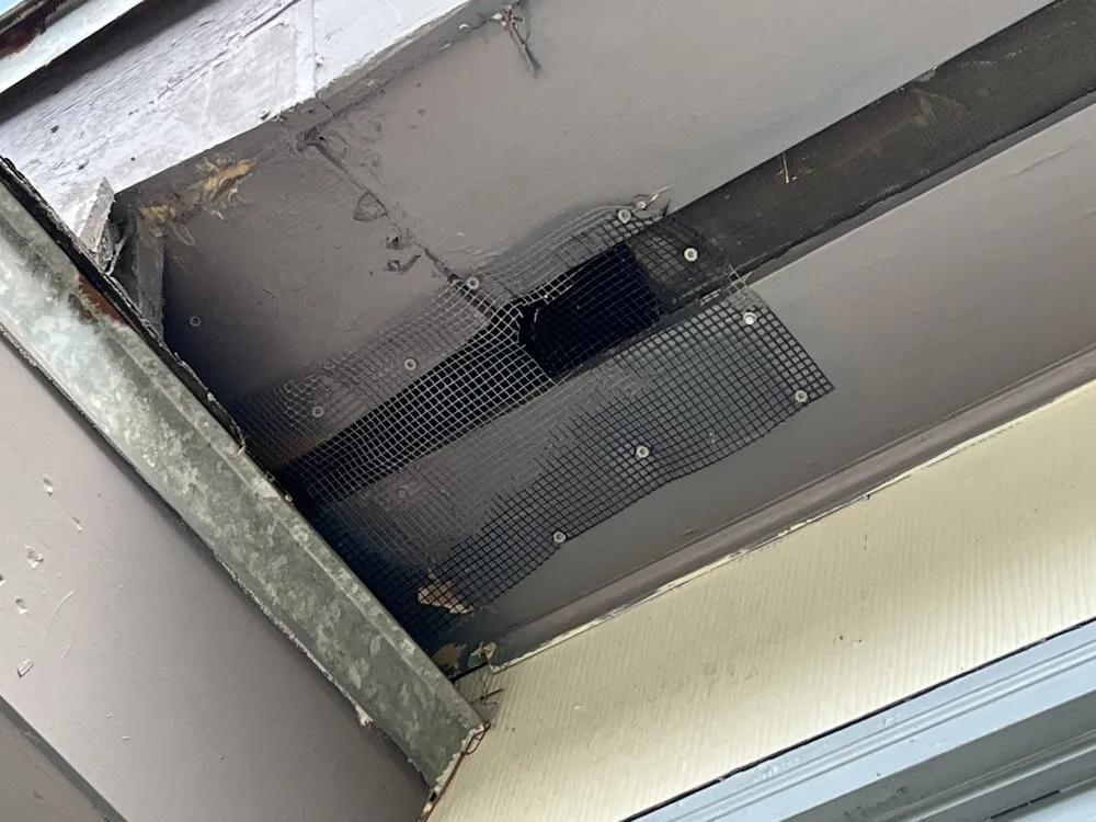 Trusted lawn care service in Cairo, GA - Asap Handy Services