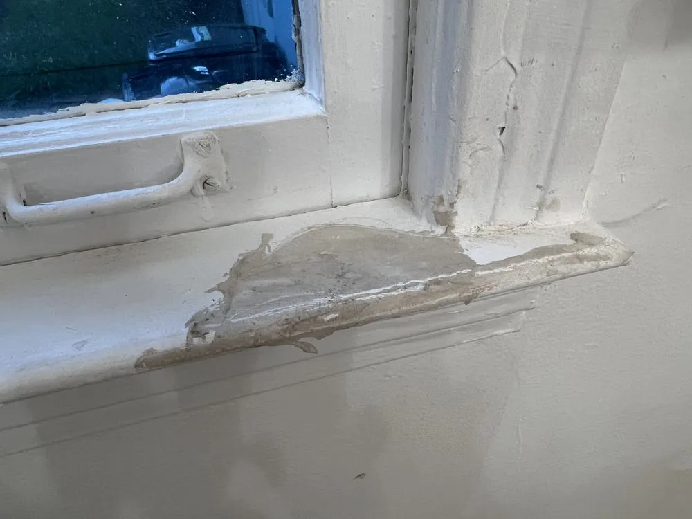 Top-rated lawn care service in Cairo, GA - Asap Handy Services