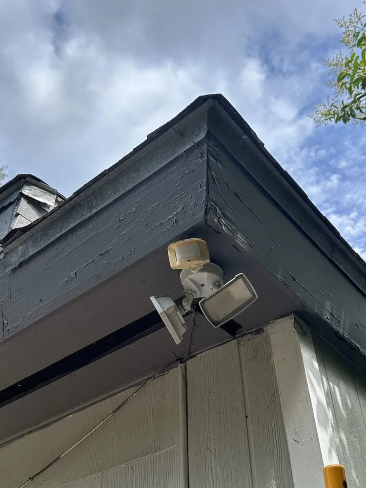 Affordable yard cleanup service in Cairo, GA by Asap Handy Services