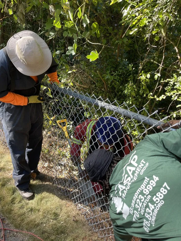 Custom yard cleanup service for homes in Decatur, GA by ASAP Landscape Management Group