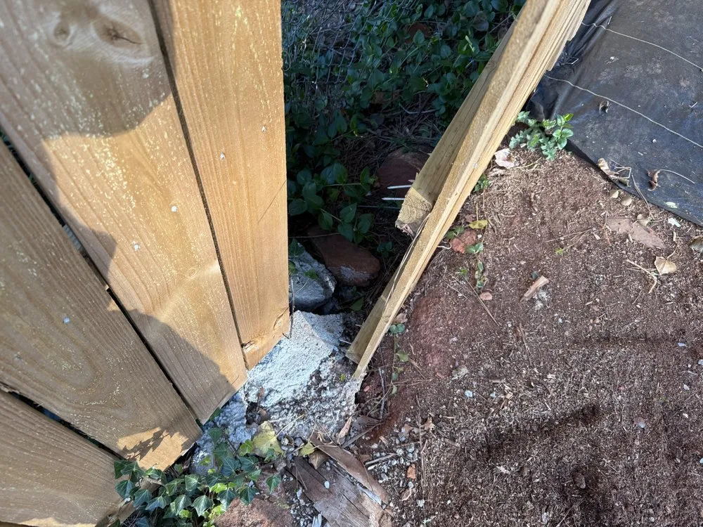 Trusted outdoor landscaping experts serving Decatur, GA - ASAP Landscape Management Group