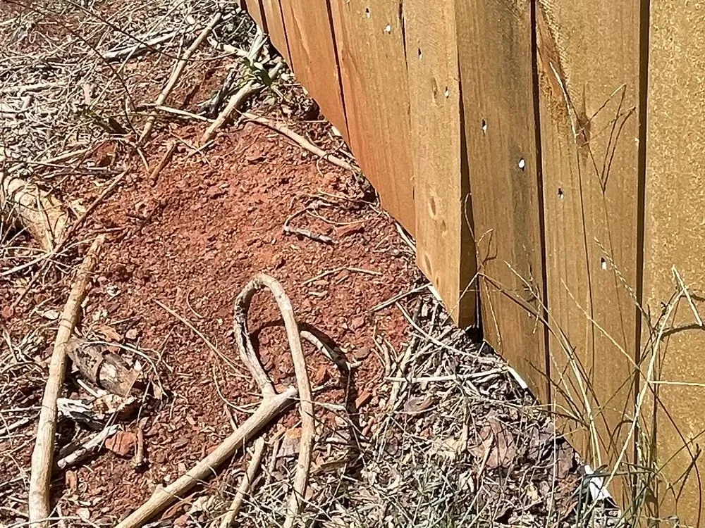 Expert landscape design for year-round maintenance across Decatur, GA - ASAP Landscape Management Group