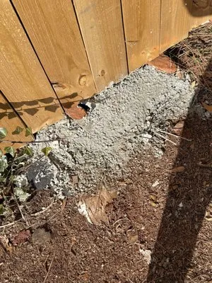 ASAP Landscape Management Group Logo