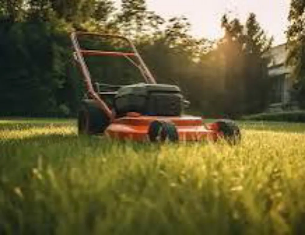 Reliable yard cleanup service for year-round maintenance across Salado, TX - ASAP Landscape