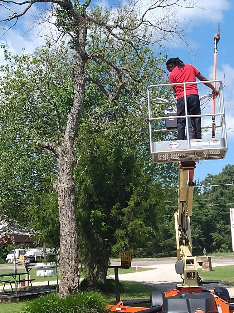 Reliable landscaping services with custom design in Paris, TX by ASAP LAWN CARE Pro's