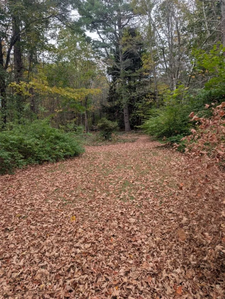 Reliable yard maintenance near you across Westbrook, ME - ASAP Lawn Care