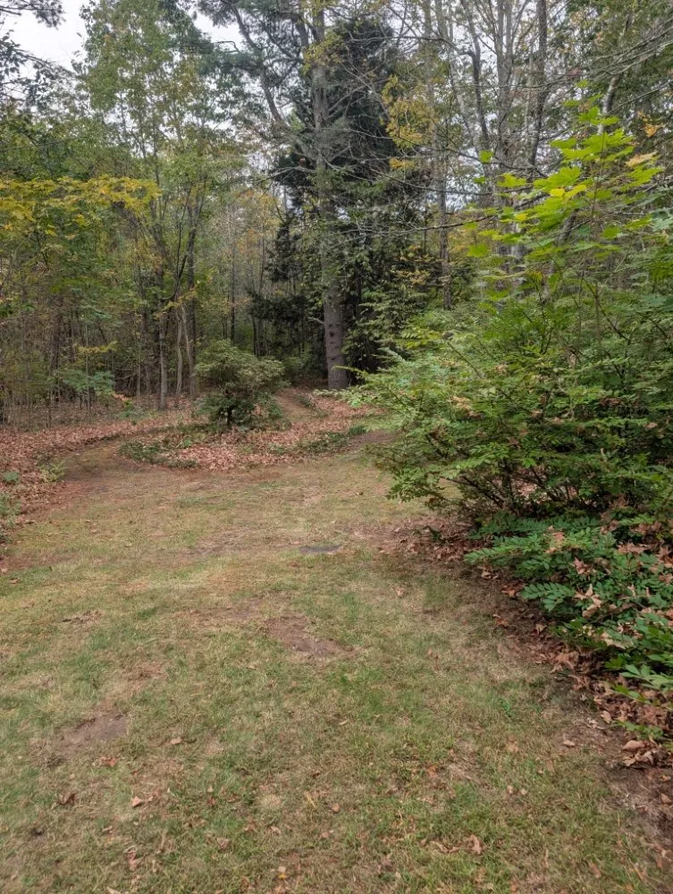 Custom yard maintenance near you across Westbrook, ME - ASAP Lawn Care