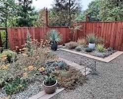 Top-rated garden landscaping experts serving Salida, CA - ASAP Mow N Go