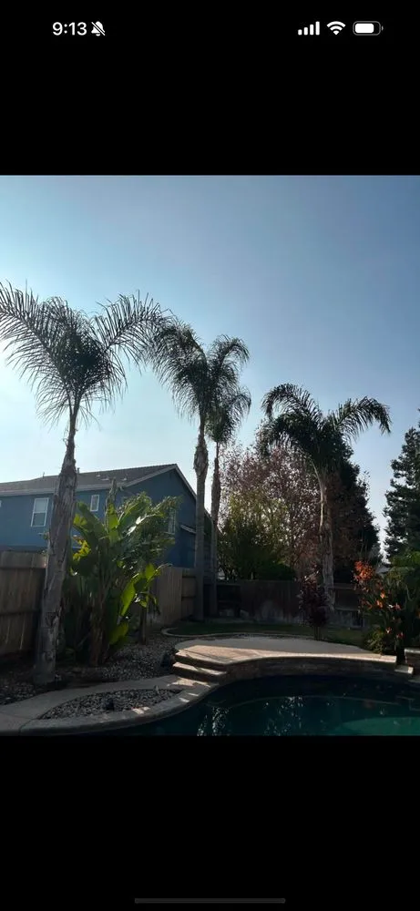 Reliable yard maintenance for residential properties across Salida, CA - ASAP Mow N Go