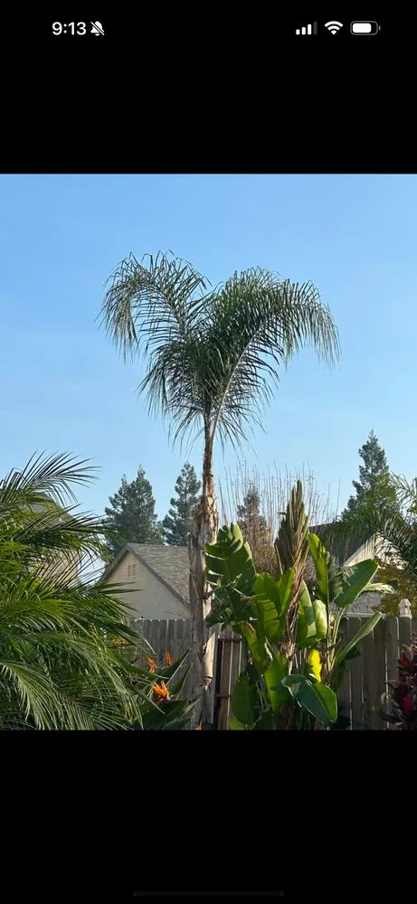 Expert yard maintenance experts serving Salida, CA - ASAP Mow N Go