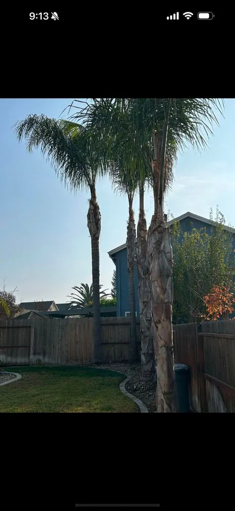 Professional yard maintenance for beautiful yards across Salida, CA - ASAP Mow N Go