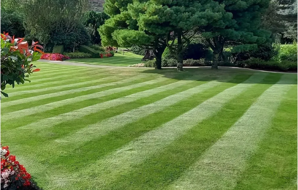 Top-rated outdoor landscaping for homes across Willoughby, OH - ASAP Mowing