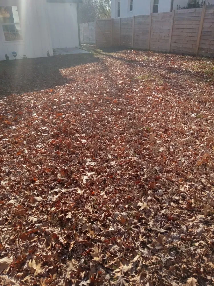 Reliable lawn mowing service experts serving Charlotte, NC - A.S.A.P. Quick & Fresh