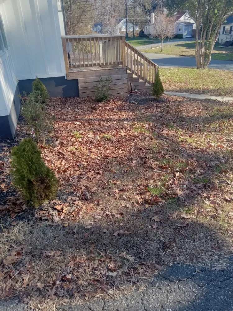 Local yard cleanup service near you in Charlotte, NC by A.S.A.P. Quick & Fresh