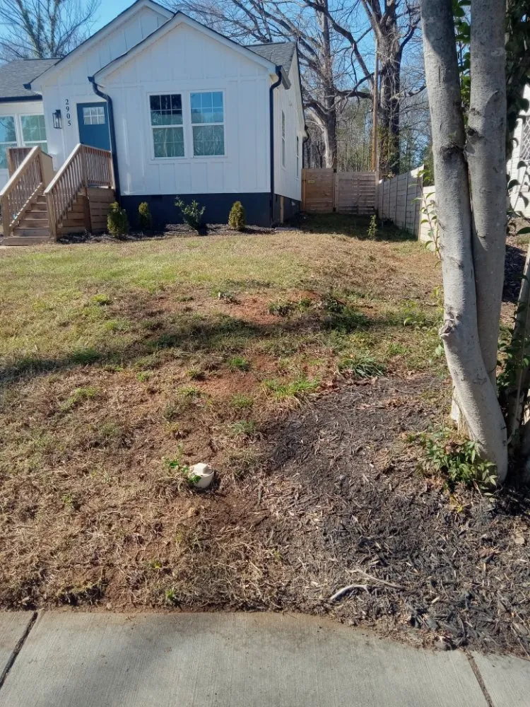 Expert residential landscaping in Charlotte, NC by A.S.A.P. Quick & Fresh