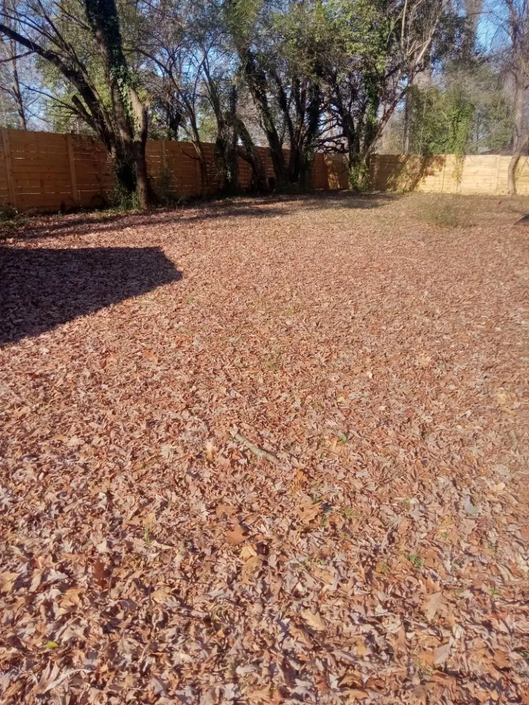 Trusted landscape installation experts serving Charlotte, NC - A.S.A.P. Quick & Fresh