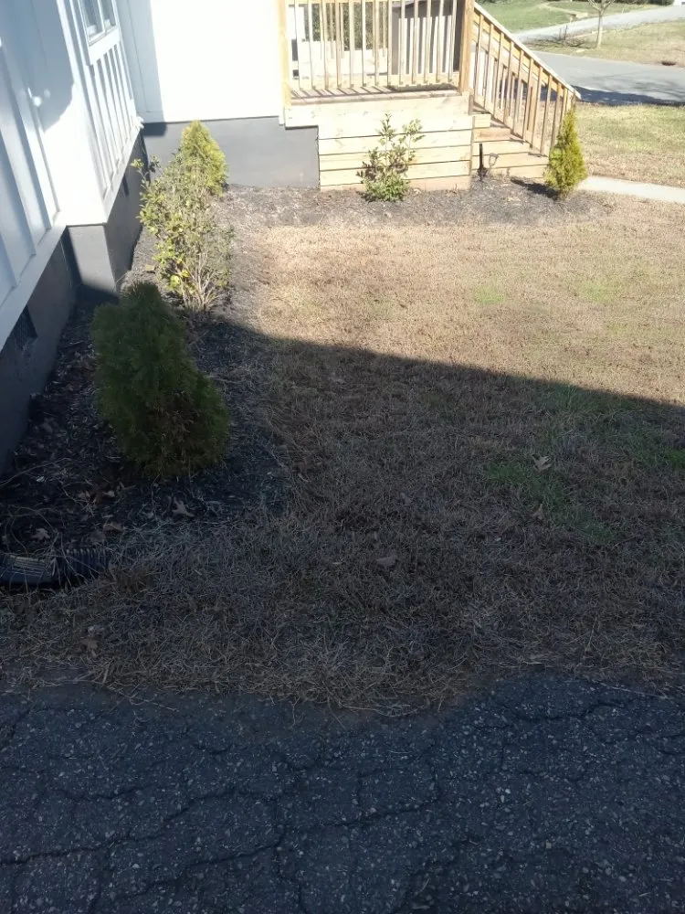 Local landscape installation in Charlotte, NC - A.S.A.P. Quick & Fresh