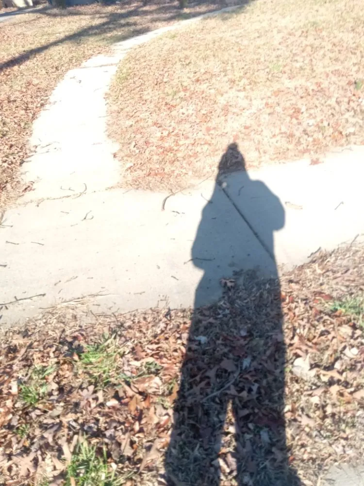 Top-rated outdoor landscaping in Charlotte, NC - A.S.A.P. Quick & Fresh