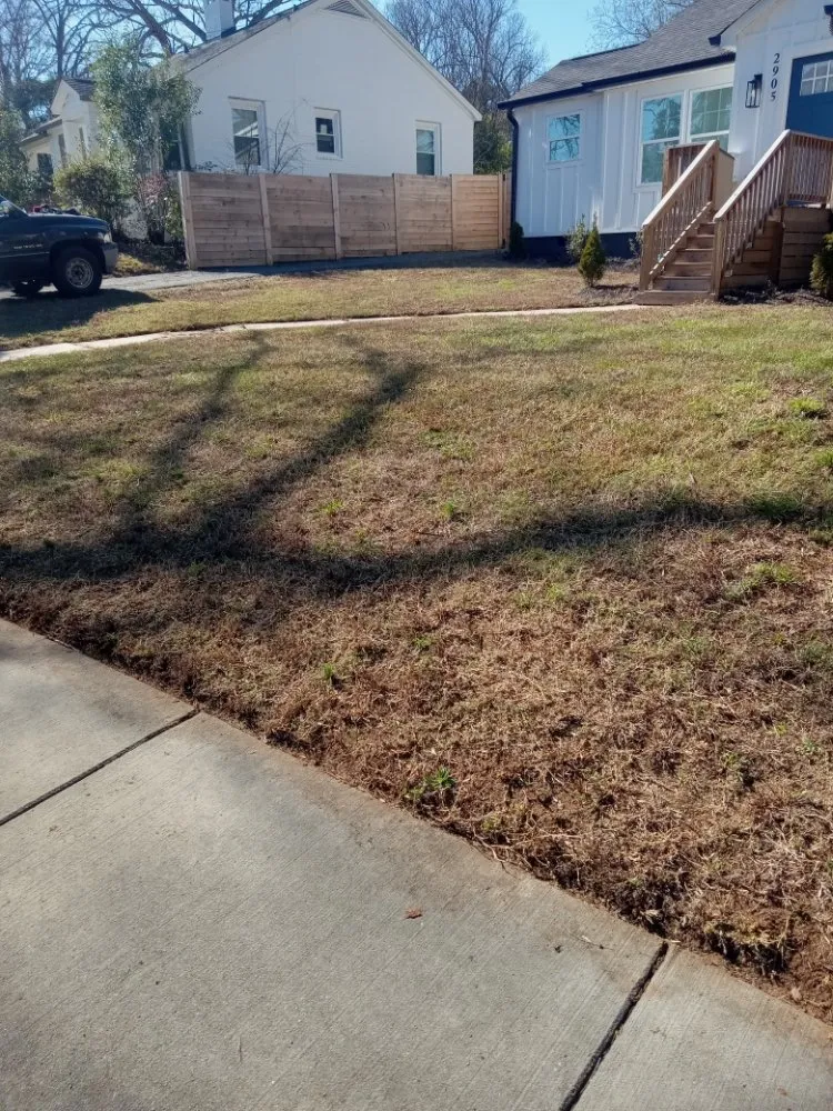 Reliable residential landscaping experts serving Charlotte, NC - A.S.A.P. Quick & Fresh