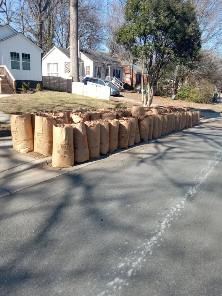 Top-rated outdoor landscaping near you across Charlotte, NC - A.S.A.P. Quick & Fresh