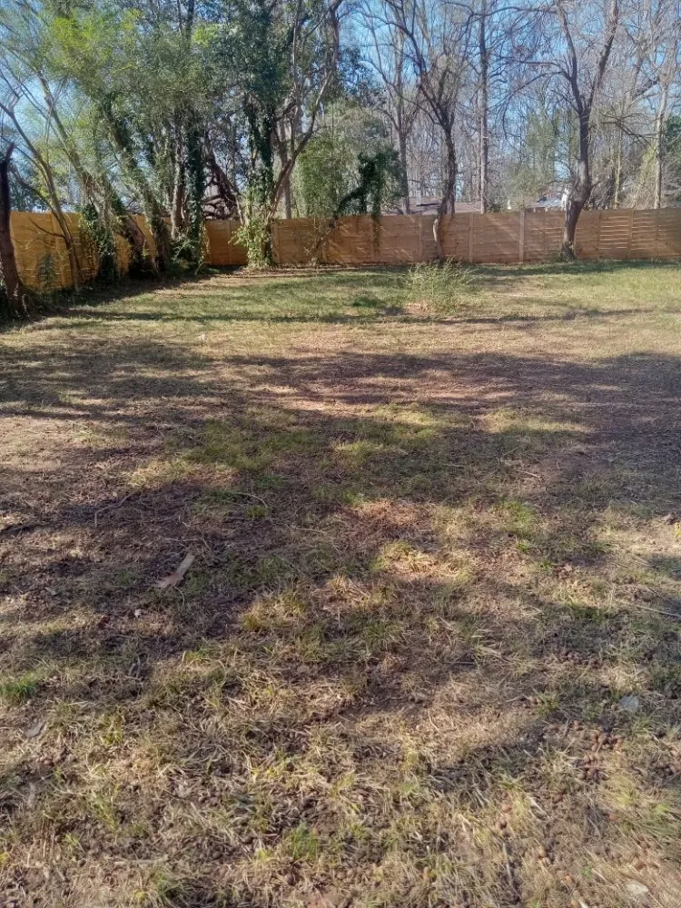 Local landscape design in Charlotte, NC - A.S.A.P. Quick & Fresh