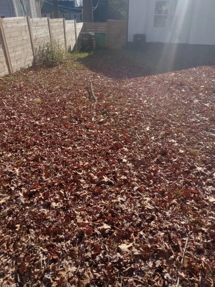 Affordable landscape installation in Charlotte, NC - A.S.A.P. Quick & Fresh