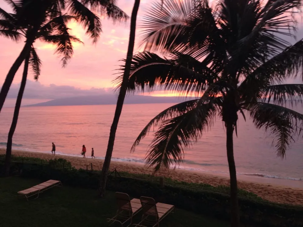 Top-rated lawn care service near you in Albuquerque, NM by ASAP Sands Outdoor Services - Lot Sweeping Striping Landscaping