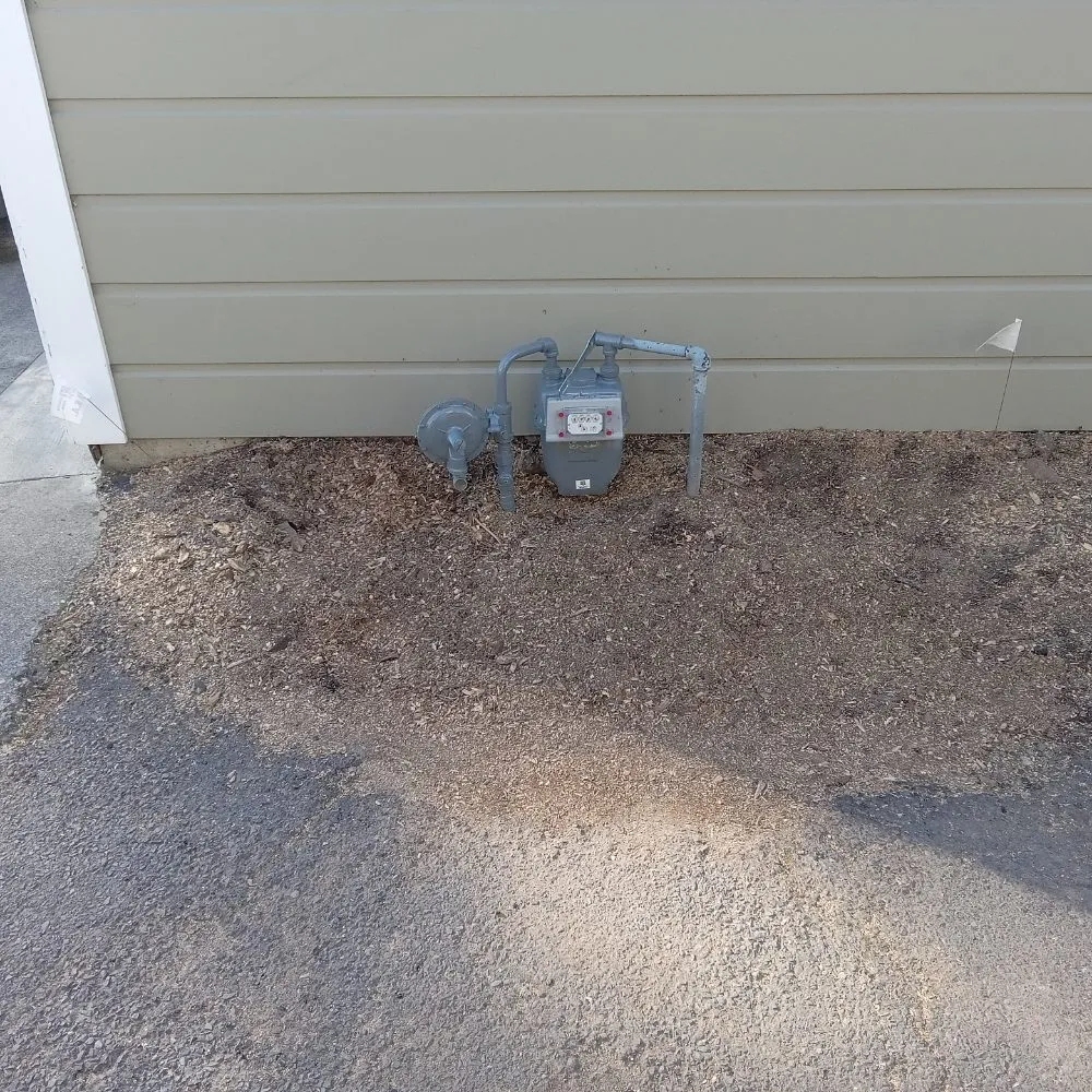 Reliable yard maintenance experts serving Napa, CA - ASAP Stump Removal & Tree Service