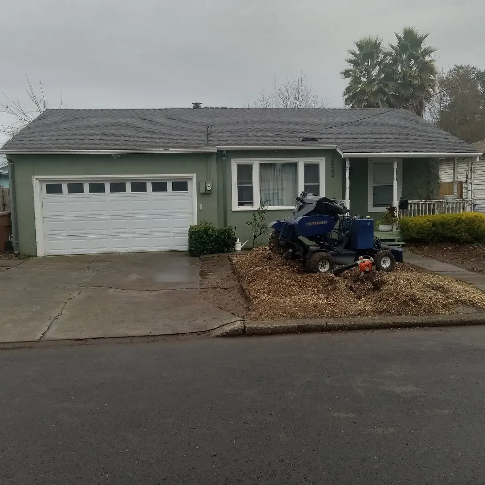 Professional landscape installation in Napa, CA - ASAP Stump Removal & Tree Service