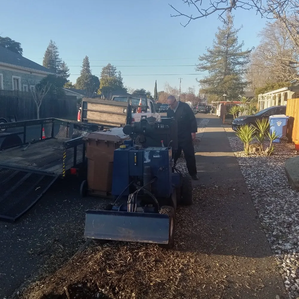 Custom lawn care service in Napa, CA - ASAP Stump Removal & Tree Service