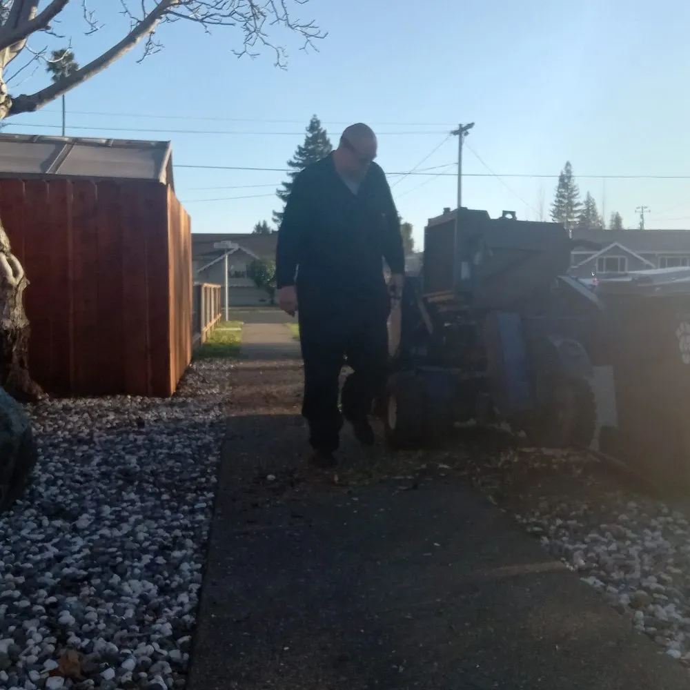 Local landscape design in Napa, CA - ASAP Stump Removal & Tree Service