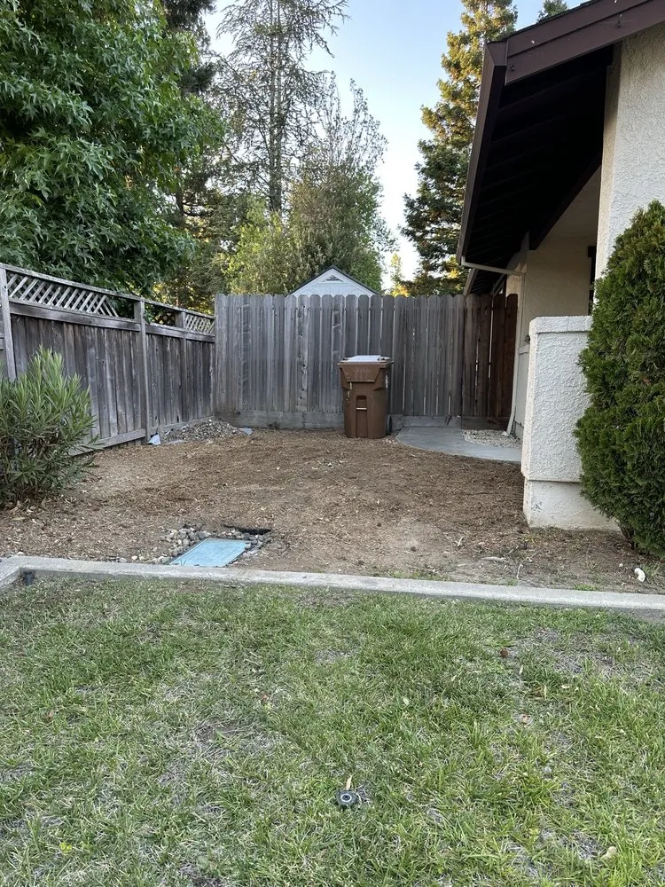 Professional yard maintenance experts serving Napa, CA - ASAP Stump Removal & Tree Service