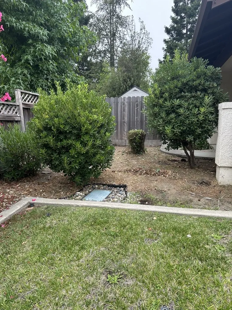 Reliable residential landscaping for beautiful yards across Napa, CA - ASAP Stump Removal & Tree Service