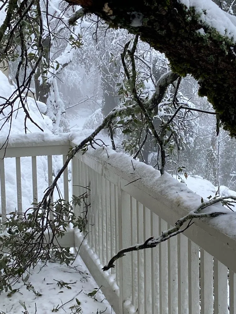 Local garden landscaping experts serving Napa, CA - ASAP Stump Removal & Tree Service