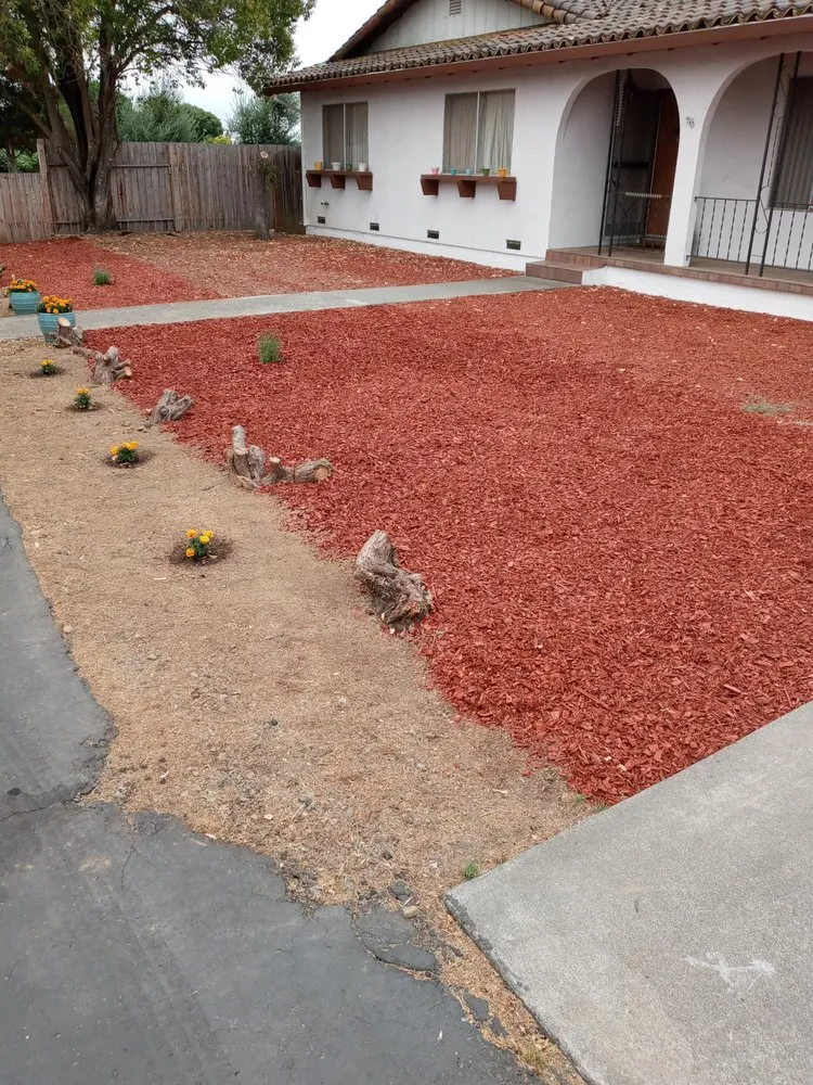 Expert outdoor landscaping in Napa, CA - ASAP Stump Removal & Tree Service