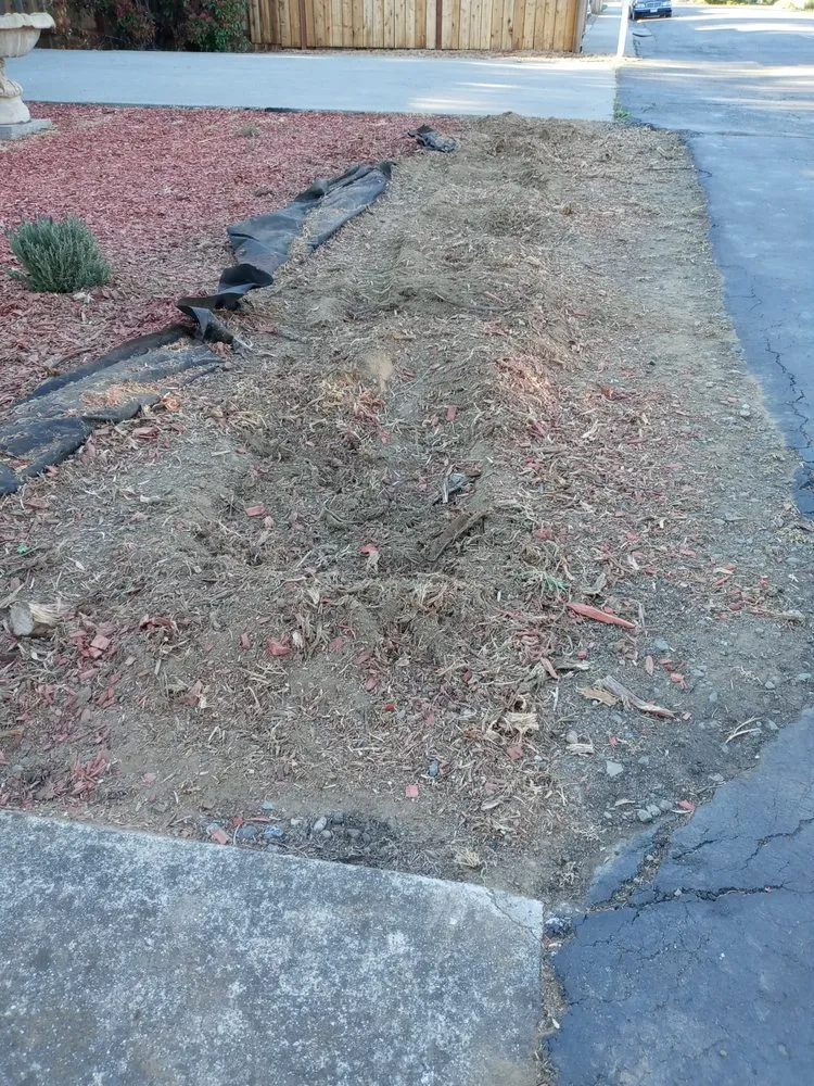 Trusted lawn care service for residential properties across Napa, CA - ASAP Stump Removal & Tree Service