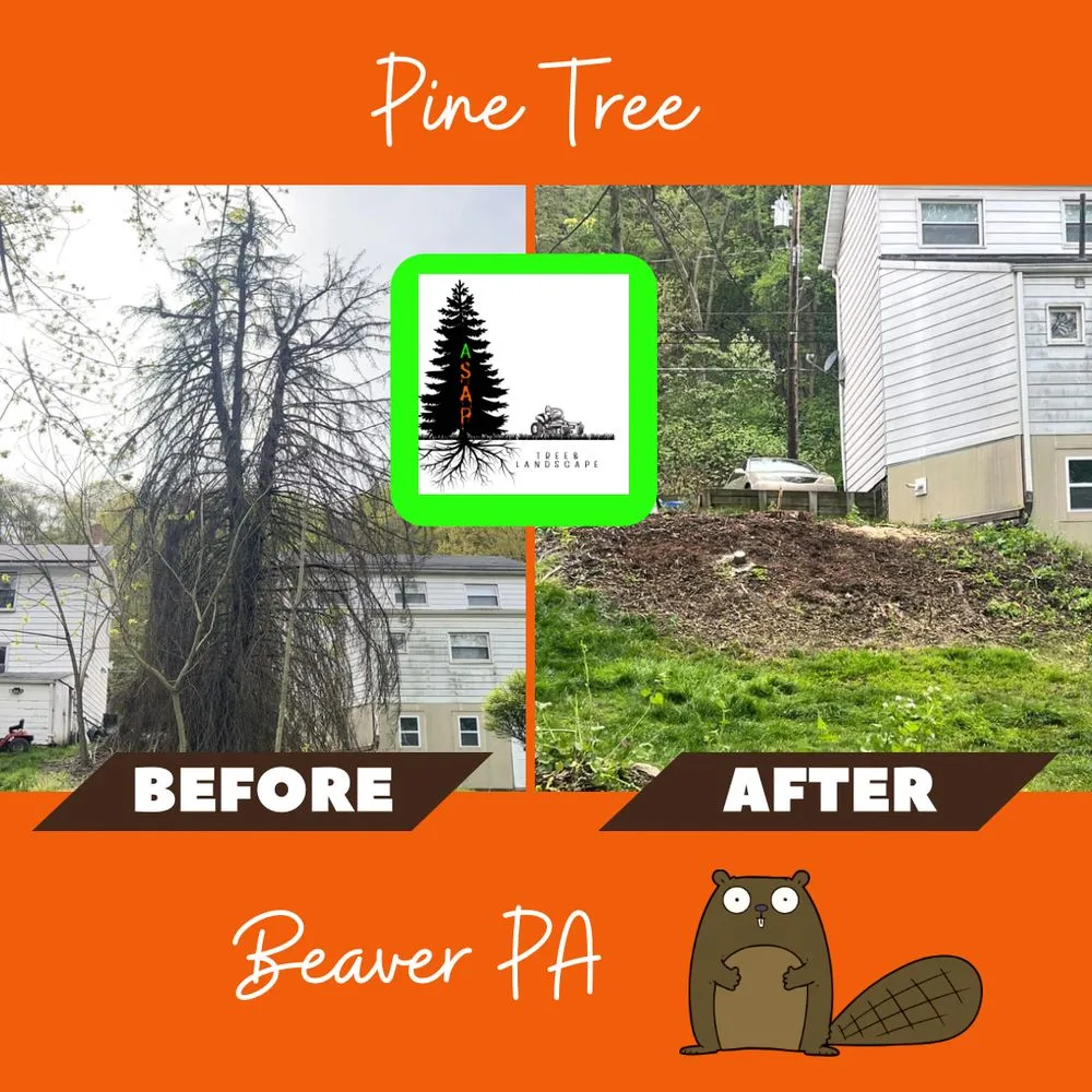 Top-rated garden landscaping experts serving Monaca, PA - ASAP Tree & Landscape