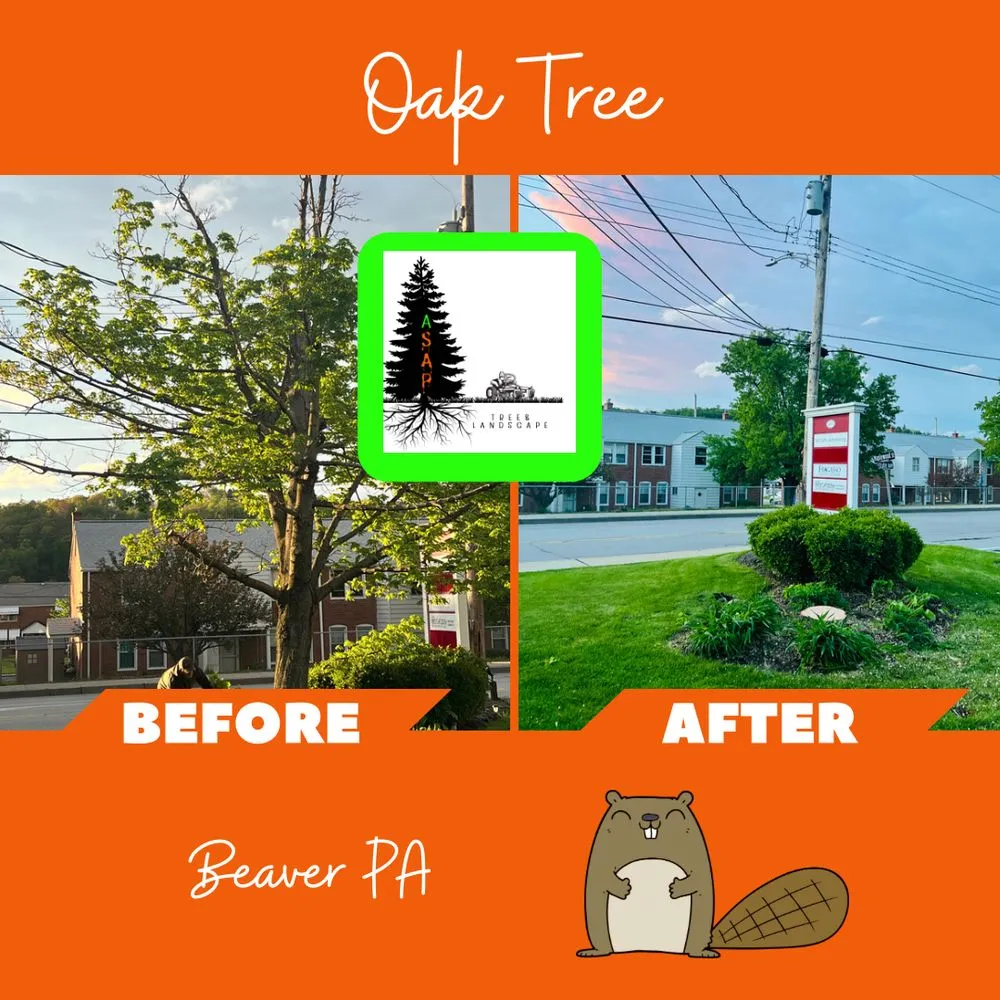 Professional yard cleanup service with custom design in Monaca, PA by ASAP Tree & Landscape
