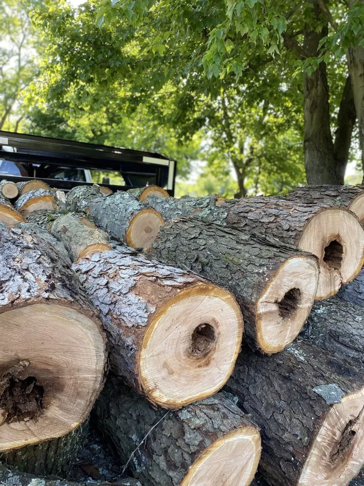 Expert yard maintenance in Monaca, PA - ASAP Tree & Landscape