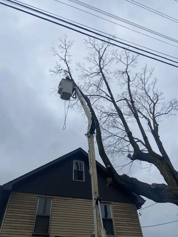 Affordable landscape design in Monaca, PA - ASAP Tree & Landscape