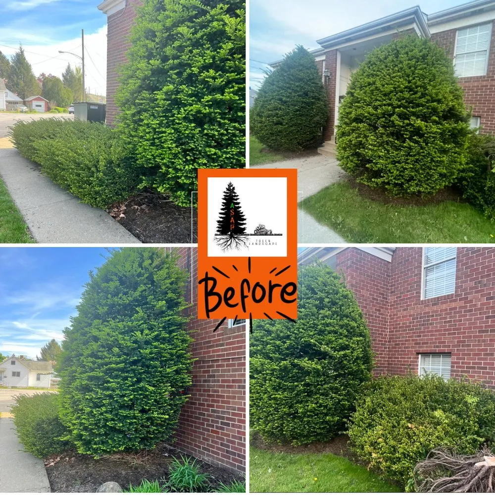 Reliable outdoor landscaping for beautiful yards in Monaca, PA by ASAP Tree & Landscape